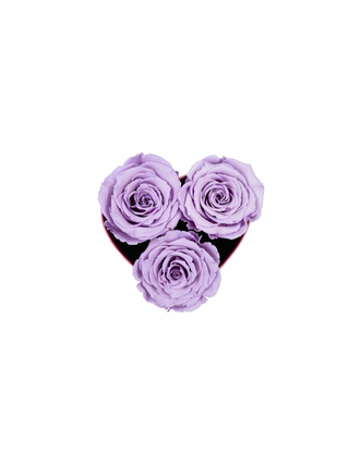 Heart Paper Box (3 Preserved Heads)