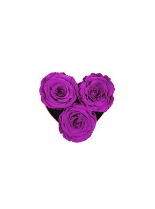 Heart Paper Box (3 Preserved Heads)