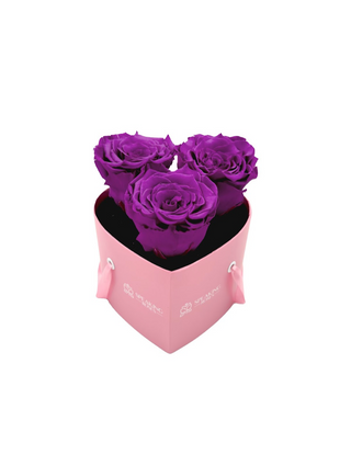 Heart Paper Box (3 Preserved Heads)
