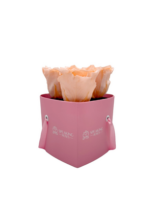 Heart Paper Box (3 Preserved Heads)