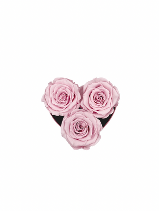Heart Paper Box (3 Preserved Heads)