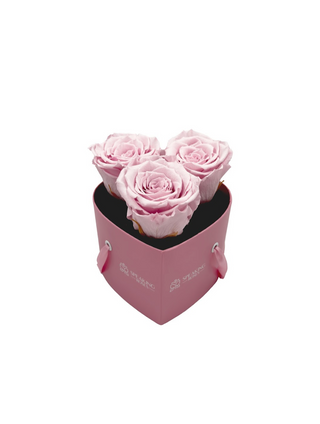 Heart Paper Box (3 Preserved Heads)