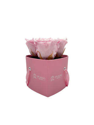 Heart Paper Box (3 Preserved Heads)