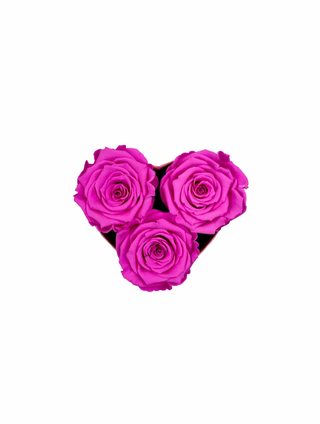 Heart Paper Box (3 Preserved Heads)