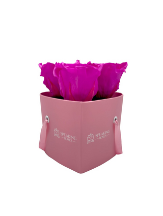 Heart Paper Box (3 Preserved Heads)