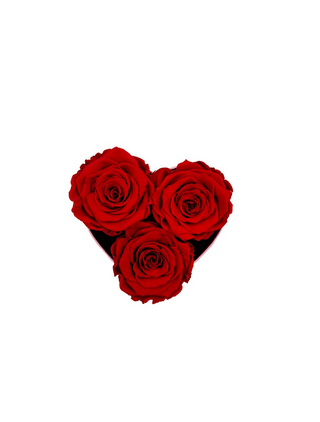 Heart Paper Box (3 Preserved Heads)