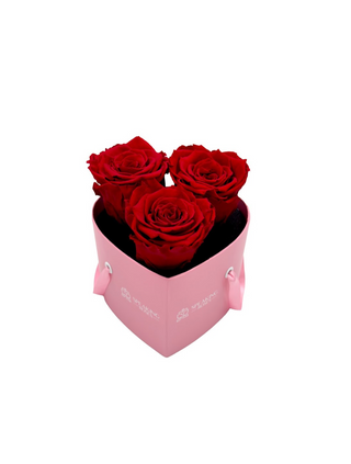 Heart Paper Box (3 Preserved Heads)