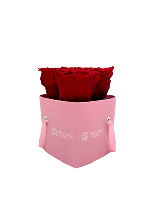 Heart Paper Box (3 Preserved Heads)