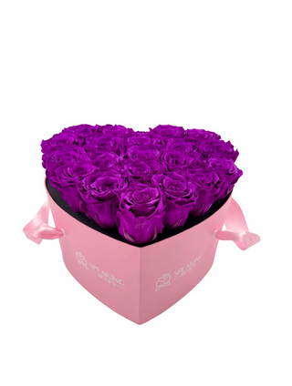 Heart Paper Box  (20 Preserved Heads)