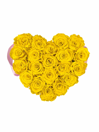 Heart Paper Box  (20 Preserved Heads)