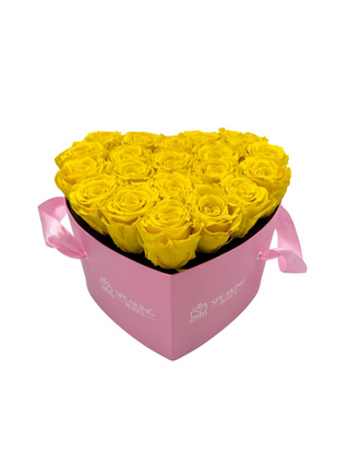Heart Paper Box  (20 Preserved Heads)