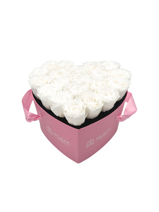 Heart Paper Box  (20 Preserved Heads)