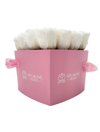 Heart Paper Box  (20 Preserved Heads)