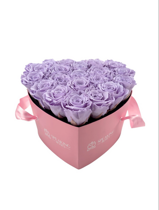Heart Paper Box  (20 Preserved Heads)