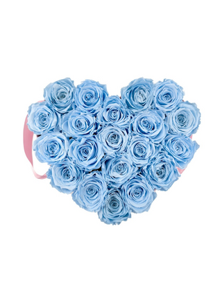 Heart Paper Box  (20 Preserved Heads)