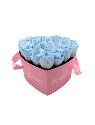 Heart Paper Box  (20 Preserved Heads)
