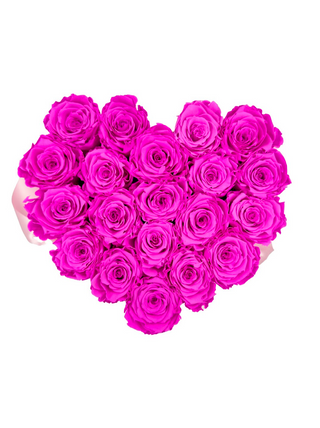 Heart Paper Box  (20 Preserved Heads)