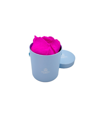 Round Paper Box (25 Preserved Petals)