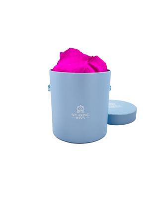 Round Paper Box (25 Preserved Petals)