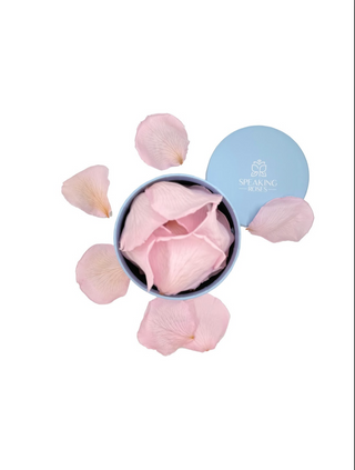 Round Paper Box (25 Preserved Petals)