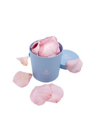 Round Paper Box (25 Preserved Petals)