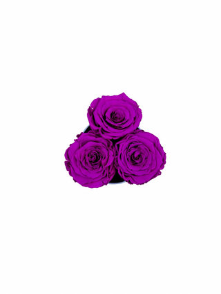 Round Paper Box (3 Preserved Rose Heads)