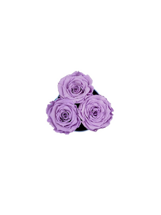 Round Paper Box (3 Preserved Rose Heads)