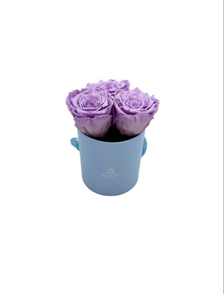 Round Paper Box (3 Preserved Rose Heads)