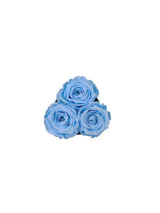 Round Paper Box (3 Preserved Rose Heads)