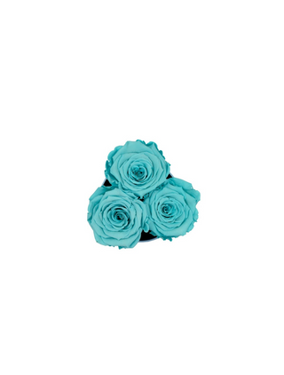 Round Paper Box (3 Preserved Rose Heads)