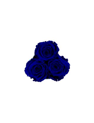 Round Paper Box (3 Preserved Rose Heads)