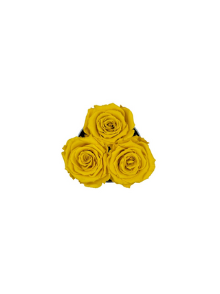 Round Paper Box (3 Preserved Rose Heads)