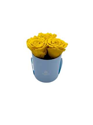Round Paper Box (3 Preserved Rose Heads)