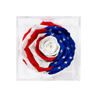 Equoria - America 250 Design- Personalized Rose - 100% Real (Preserved-Eternal)
