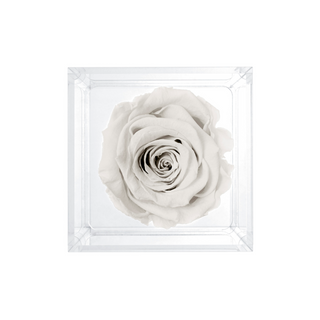 Luxara Uno –  Happy Anniversary - Personalized Rose - 100% Real (Preserved-Eternal)