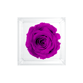 Luxara Uno – Just To see you Smile - Personalized Rose - 100% Real (Preserved-Eternal)