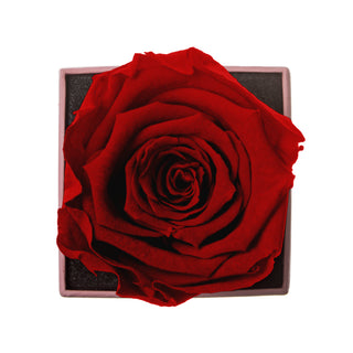 Sovelle XXS  – I Love you - Personalized Rose - 100% Real (Preserved-Eternal)