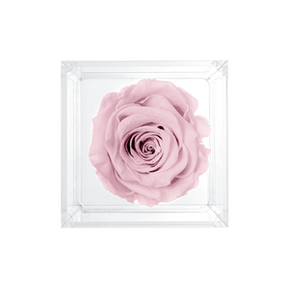 Luxara Uno –  Happy Birthday - Personalized Rose - 100% Real (Preserved-Eternal)