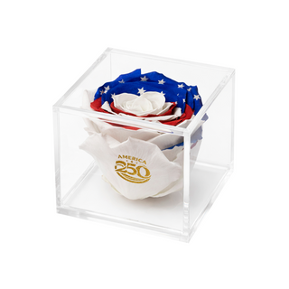Equoria - America 250 Design- Personalized Rose - 100% Real (Preserved-Eternal)