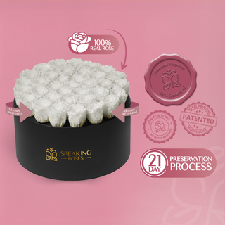 Domora Bloom - Romance Collection