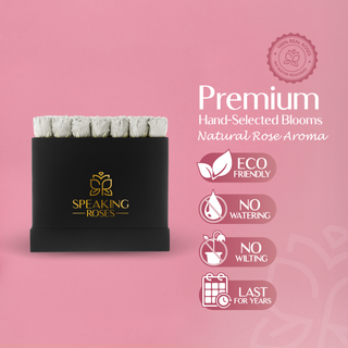 Sovelle LLO - Romance Collection