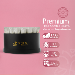 Domora Bloom - Romance Collection