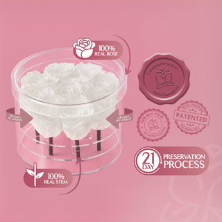 Acrisse Nue - Valentine's Day Collection