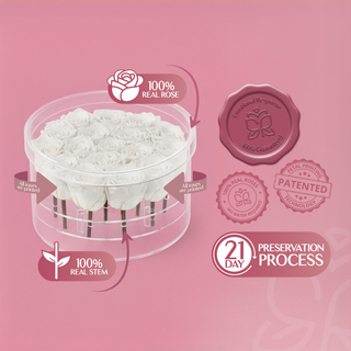 Acrisse Char - Valentine's Day Collection