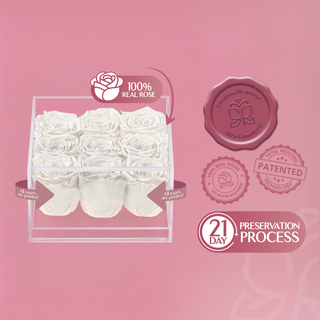 Equoria V09 - Valentine's Day Collection