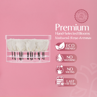 Acrisse Char - Valentine's Day Collection