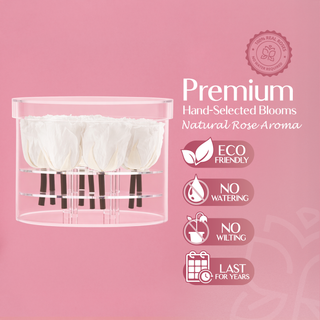 Acrisse Nue - Valentine's Day Collection