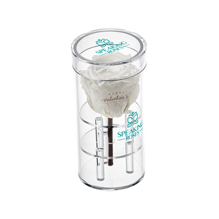 Acrisse One - Happy Valentine's Day - Valentine's Day Collection