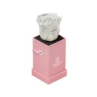 Sovelle XXS  - Happy Valentine's Day - Valentine's Day Collection