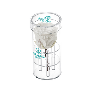 Acrisse One - Happy Valentine's Day - Valentine's Day Collection